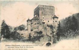 Déc12 929 : Angenstein  -  Château - Other & Unclassified