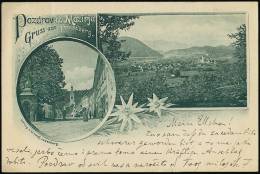 Gruss Aus Prassberg. Pozdrav Iz Mozirja -- Old Postcard - Slovenia