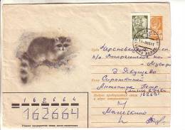 GOOD USSR Postal Cover 1981 - Fur Animal - Covers & Documents