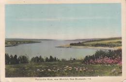Petitcodiac River, Near Moncton, New Brunswick - 13 - Autres & Non Classés