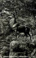 AK Stolberg, Hirschdenkmal, Ung, 1959 - Stolberg (Harz)