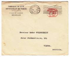 BELGIUM - Brussels, Bruxelles, Fabrique De Soie Artificiellee De Tubize, Cover, Year 1929 - Sonstige & Ohne Zuordnung