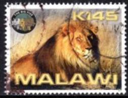 Malawi - 2011 Big Five K145 Lion (o) - Malawi (1964-...)