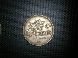 Turquia 2500  Lira 1992(4808) - Turquie