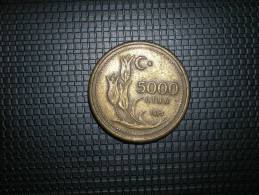 Turquia 5000 Lira 1995 (4820) - Turquia