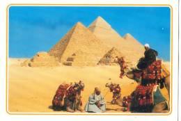 Egypt, Giza, The Pyramids, Unused Postcard [13310] - Guiza