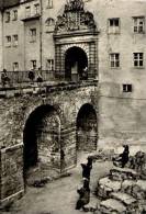 AK Torgau, Bärenfreigehege Im Schloß Hartenfels, Beschr, 1968 - Torgau