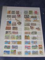 Australien Australia Small Collection Old Modern Kleine Sammlung Bedarf Gestempelt 0 Used 128 Marken Stamps - Collezioni