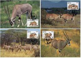 WWF 1996 Eritrea Beisa Oryx MC Set X4 Fauna - Cartes-maximum