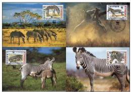 WWF W.W.F. Maximum Maxi Cards Ethiopia Zebra Horse 2001 Set Fauna - Non Classificati