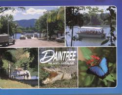 (950) Australia - Queensland - Daintree Rainforest - Other & Unclassified