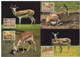 Bahrain 1993 WWF MC Set Goitered Gazelle Fauna - Maximumkarten