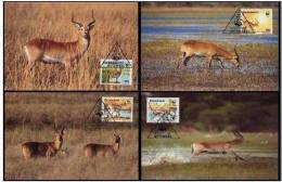 Botswana 1988 WWF W. W. F. Gazelle Red Lechwe MC Maxi Maximum Cards Set X4 Fauna - Maximumkarten