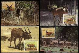 Mali 1986 WWF Giant Eland 4x MC Maximum Cards Fauna Antilope Animals - Maximumkarten