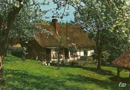 Chaumière Normande - Haute-Normandie