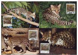 El Salvador 1988 WWF W.W.F. Ocelot And Margay Cat Maximum Cards Set X4 Fauna Cats - Maximumkarten