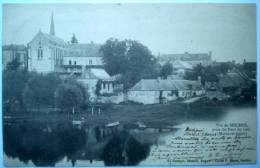 49 : Vue De Seiches Prise Du Pont Du Loir - Type Précurseur 1902 - Seiches Sur Le Loir