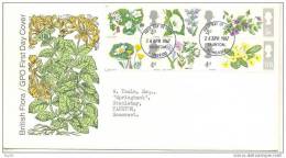 1967, FIRST DAY COVER (PRIMER DIA DE EMISION), WILD FLOWERS, SET OF 6 - 1952-1971 Em. Prédécimales