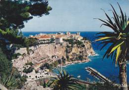 MONACO,DYNASTIE DES GRIMALDI,LOT DE 2 CARTES,ROCHER,VUE AERIENNE,NOUVELLES CONSTRUCTIONS,marcophilie - Other & Unclassified