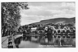 Ilsenburg - Partie Am Forellenteich - Ilsenburg