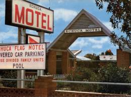 (930) Australia - Echuca Motel - Autres & Non Classés