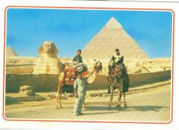 Egypt, Giza, Camel Driver Near The Sphinx And Khafre Pyramid, Unused Postcard [13337] - Guiza