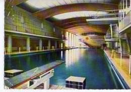 Hallenbad Wiesbaden Innen Sprungturm 1m 3m Gel. 23.7.1958 - Schwimmen