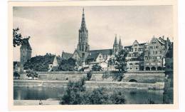 D3452   ULM : Münster Und Stadtmauer - Ulm