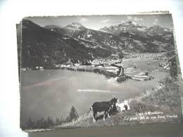 Zwitserland Schweiz Suisse Switserland GR Lago Di Poschiavo Goats - Poschiavo