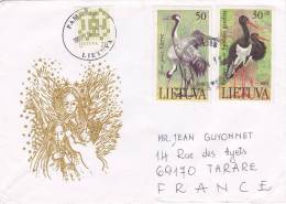 LETTRE  LITUANIE, 1999 PAMUSIS Pour La FRANCE,  OISEAU GRUE CIGOGNE /2698 - Cicogne & Ciconiformi