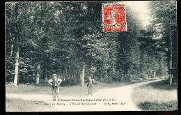 78 SAINT NOM LA BRETECHE / Forêt De Marly, L'Etoile Des Dames / - St. Nom La Breteche