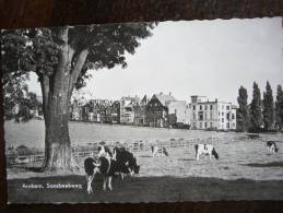 Delcampe - ARNHEM - Verzonden 1959 - Sonsbeekweg   - Lot VO 9 - Arnhem