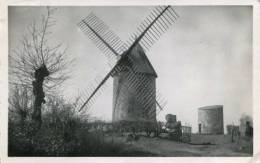 85 - CPSM Pouzauges - Vieux Moulin Du Terrier Marteau - Pouzauges