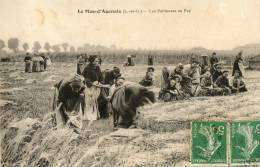 LE MAS D'AGENAIS (47) Agriculture  Types De Pailleuses  Gros Plan - Otros & Sin Clasificación