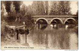 72 - BRULON - Un Coin Sur La Vègre - Animée, Vaches - Brulon