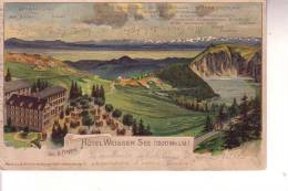 Cartolina A Colori HOTEL WEISSER URBEIS (Germania) Viaggiata  2/8/1904 - Elsass