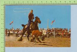 Calgary   ( Calf Roping By Gibbons ) Post Card Carte Postale - Calgary