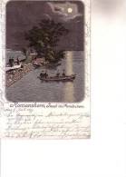Cartolina A Colori ROMANSHORN(Svizzera) Viaggiata 5/7/1899 - Horn