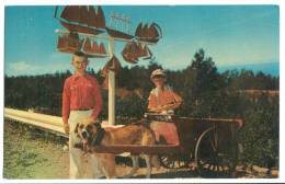 Canada, Gaspe Nord, , Dog-Cart, Quebec , Unused Postcard [13372] - Gaspé