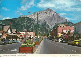 Canada , BANFF AVENUE ,BANFF ,ALBERTA ,CANADA - Autres & Non Classés