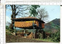 ASTURIAS -  Hooreo -  Grange  - Barn - Scheune - Asturias (Oviedo)