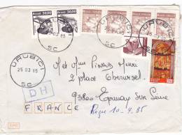 Lettre Cover BRESIL 1985, URUBICI Pour La FRANCE, CHENILLE COTON CAJU /2456 - Brieven En Documenten