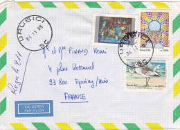 Lettre Cover BRESIL 1985, URUBICI Pour La FRANCE, TABLEAU OISEAU  /2936 - Briefe U. Dokumente