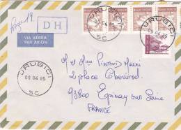 Lettre Cover BRESIL 1985, URUBICI Pour La FRANCE, PINO DO PARANA ALGODAO  /2940 - Brieven En Documenten