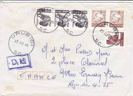 Lettre Cover BRESIL 1985, URUBICI Pour La FRANCE, CHENILLE CAJUN COTON  /2941 - Brieven En Documenten