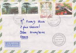 Lettre Cover BRESIL 1985, FLORIANOPOLIS Pour La FRANCE,   /2943 - Cartas & Documentos