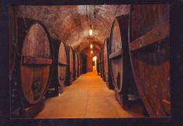 BROTHERHOOD WINERY CELLARS - Andere & Zonder Classificatie