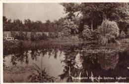 Parkgezicht Hotel De Luchte - Lochem