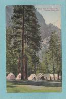 YOSEMITE  VALLEY.  -  Camp  Curry  And Glacier Pt. -  1910   - BELLE CARTE  - - Yosemite