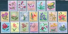 Ruanda-Urundi 1953 Flowers MNH** - Lot. 1611 - Ongebruikt